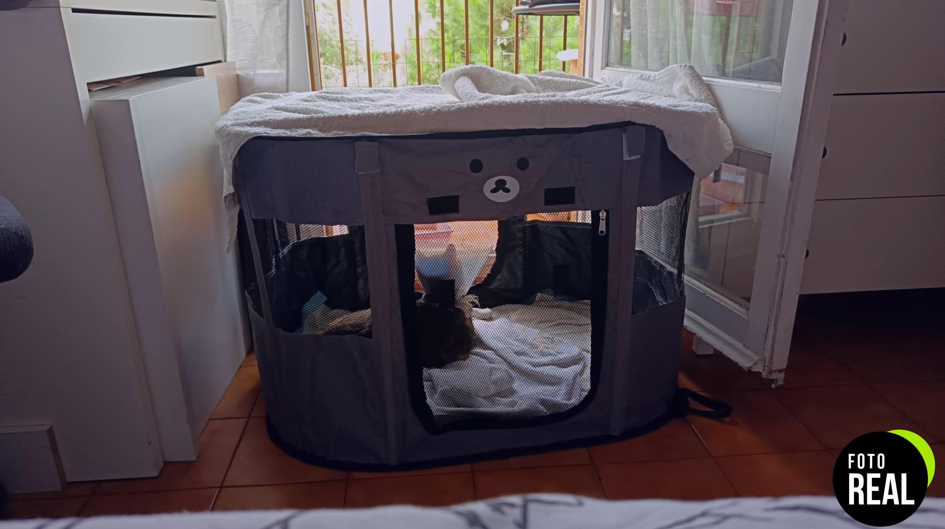 allsopets-parque-mascotas-oso-marron-m-foto-2