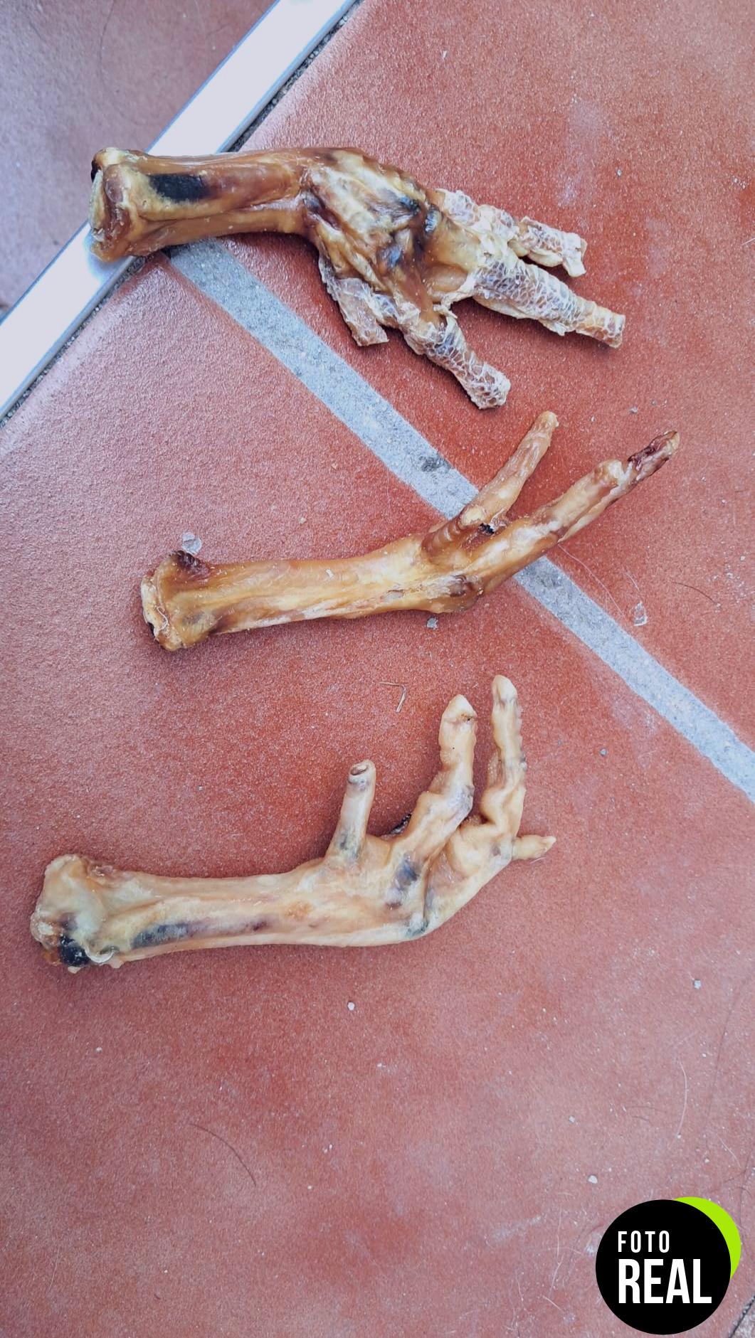 arquivet-patas-pollo-250g-snacks-perros-foto-3