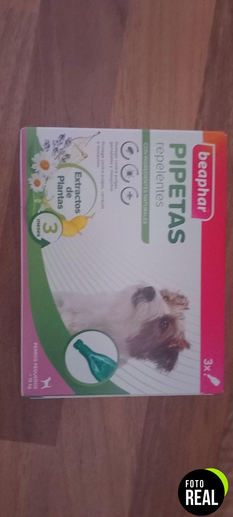 beaphar-pipetas-repelentes-perros-pequenos-3-meses-foto-2