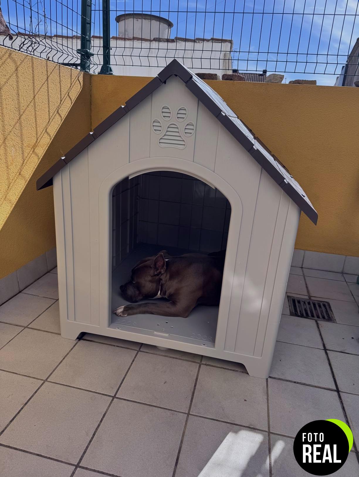 caseta-perro-pawhut-exterior-grande-gris-foto-2