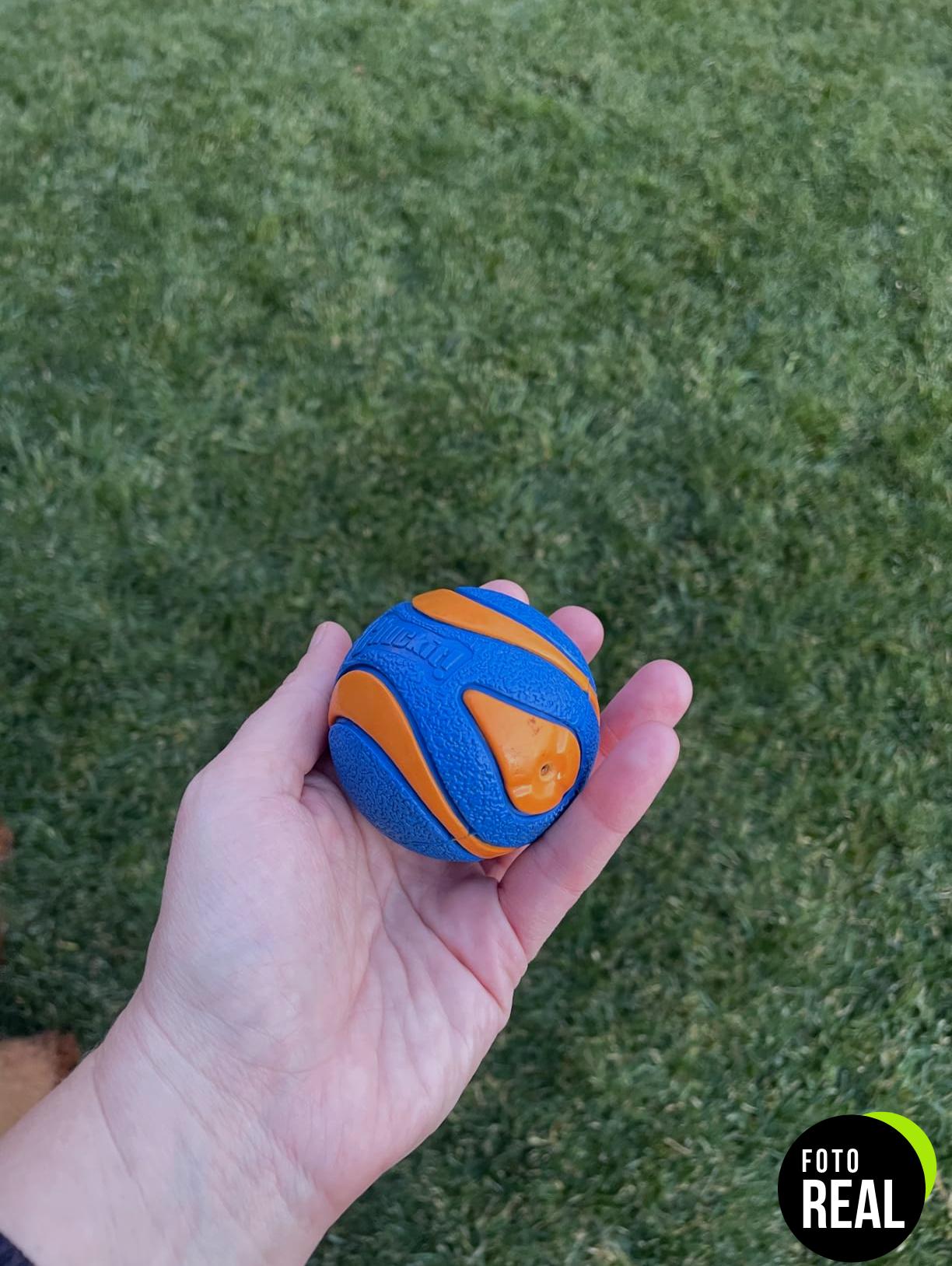 chuckit-pelota-squeaker-m-foto-1