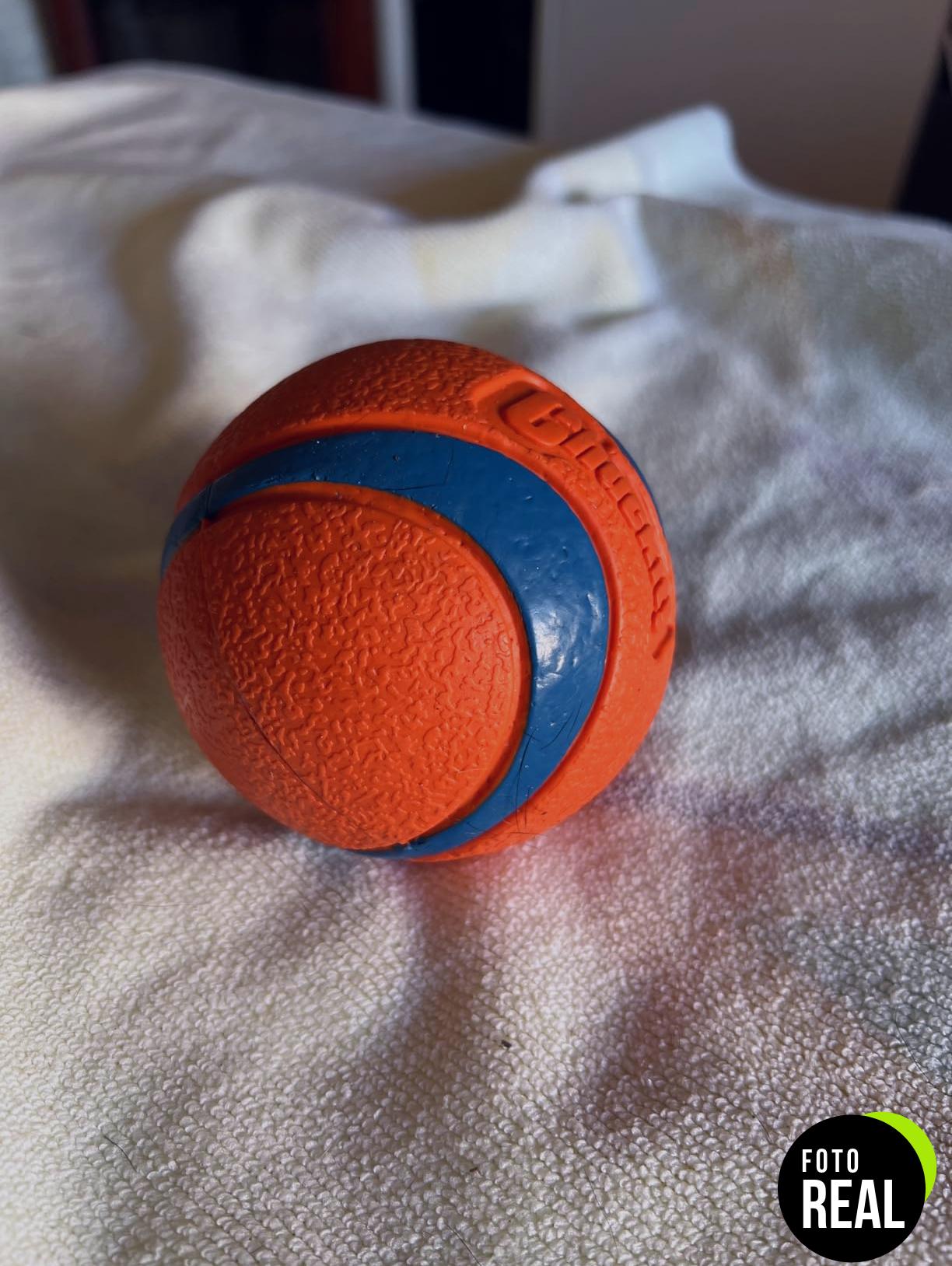chuckit-pelota-squeaker-m-foto-3