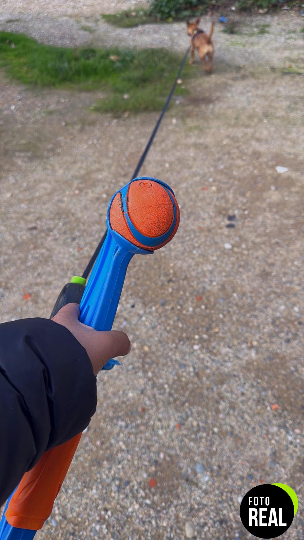 chuckit-ultra-ball-perros-2-foto-1
