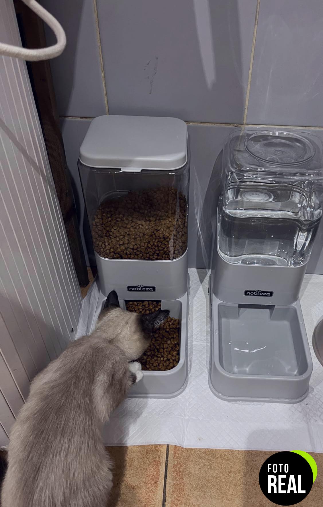 comedero-bebedero-gatos-perros-pack-2-nobleza-foto-1