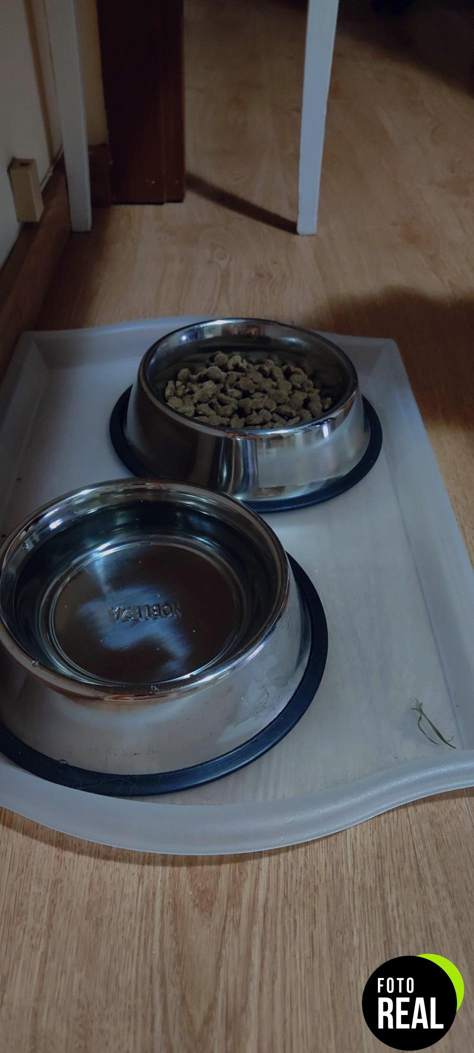 cuenco-perro-acero-inox-nobleza-2u-foto-1