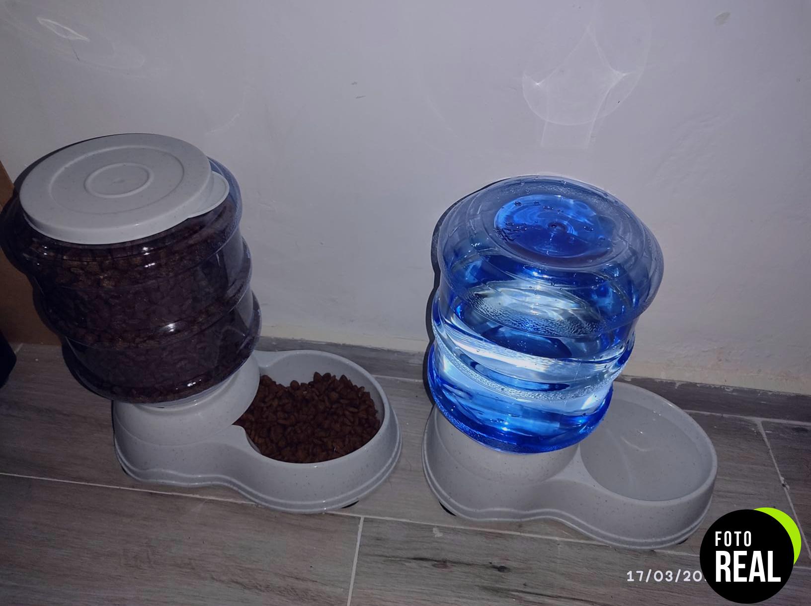 dispensador-agua-perros-gatos-pequeno-amazon-basics-foto-2