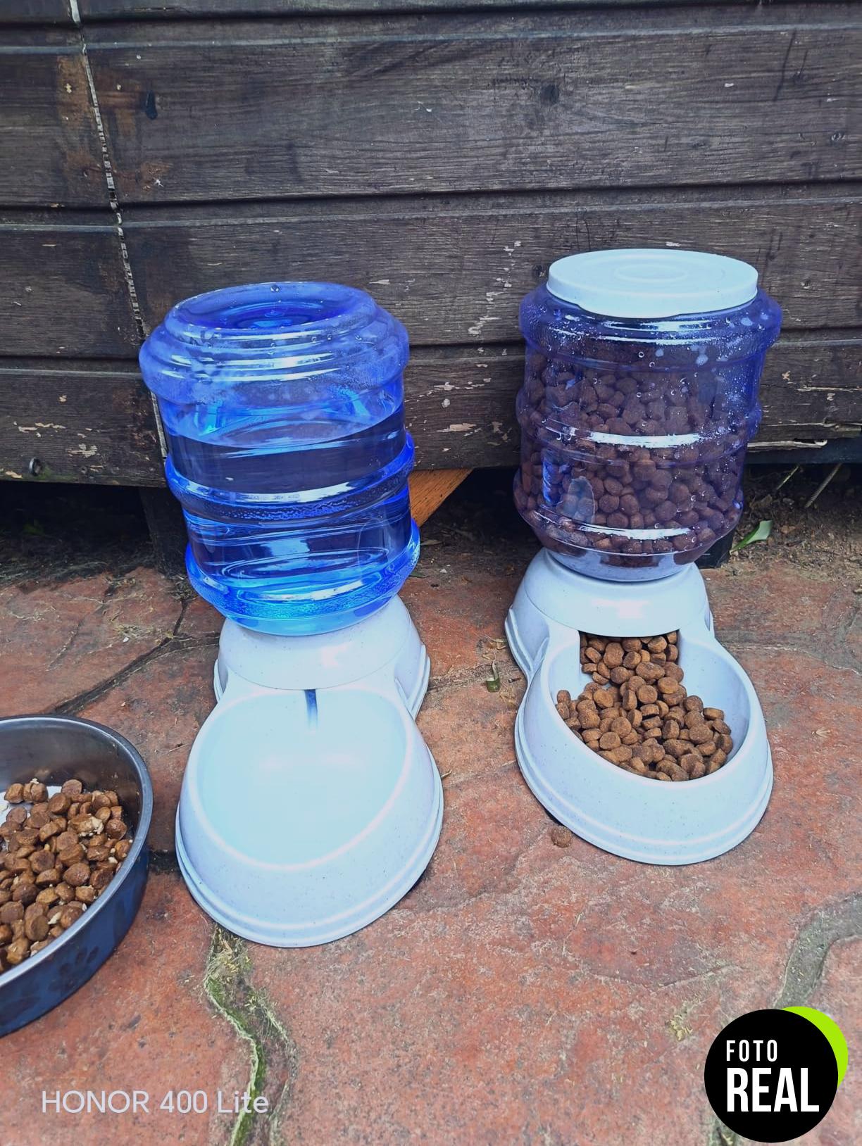 dispensador-agua-perros-gatos-pequeno-amazon-basics-foto-3