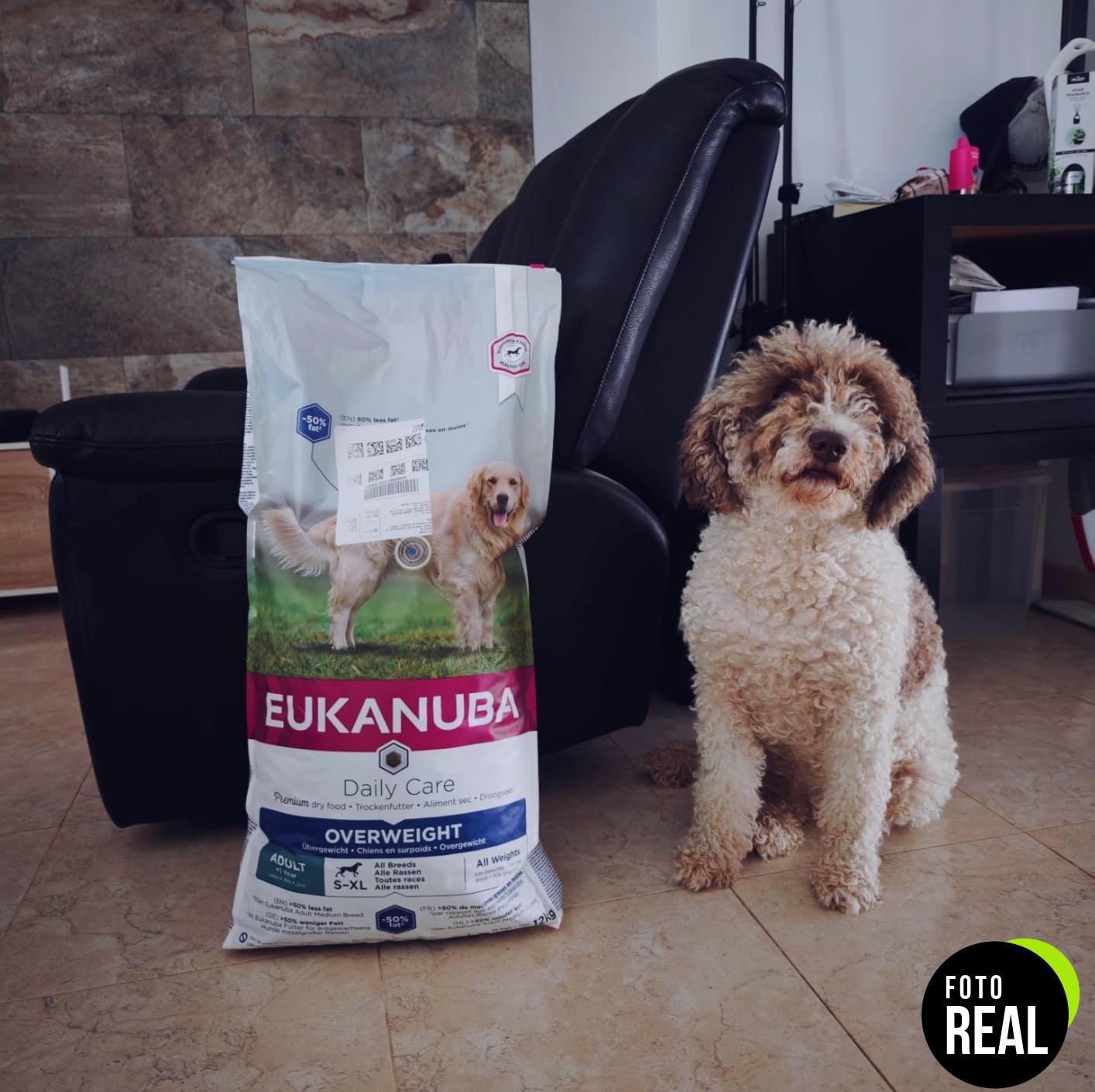 eukanuba-cuidado-diario-perros-sobrepeso-12kg-foto-2