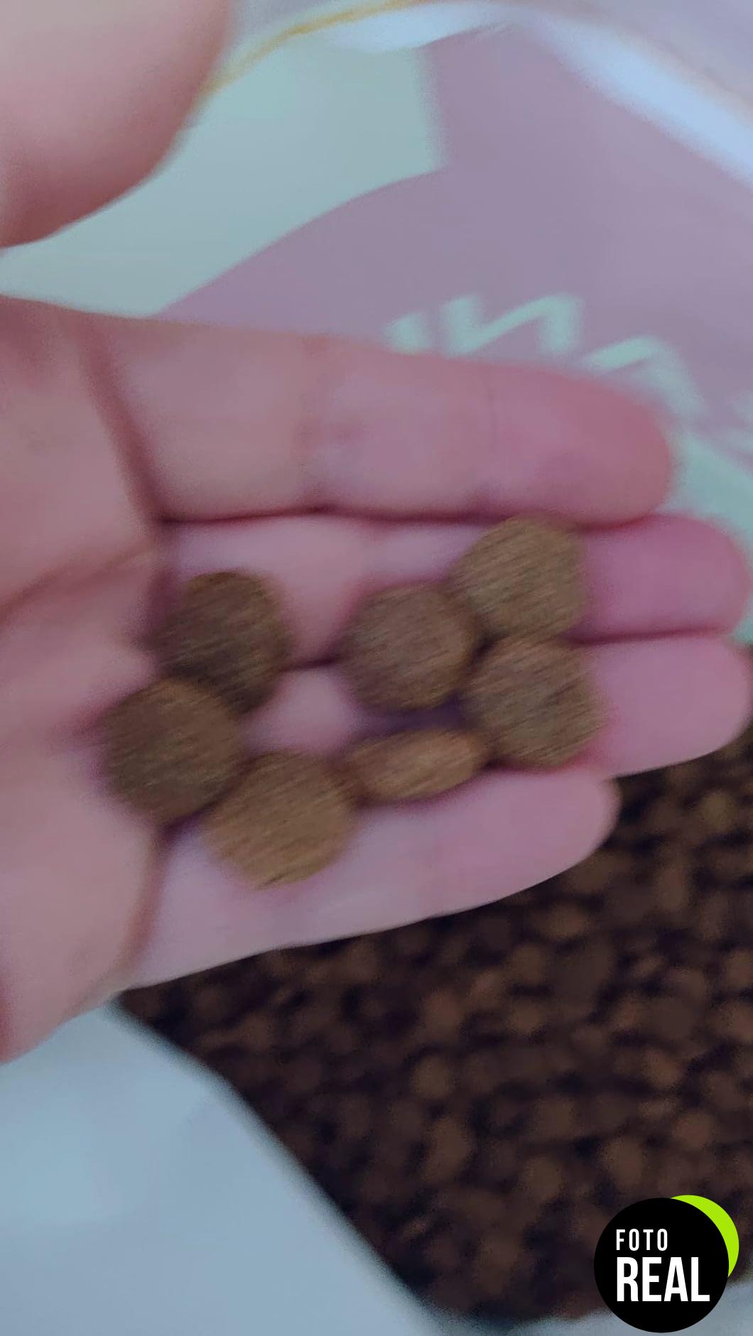 eukanuba-cuidado-diario-perros-sobrepeso-12kg-foto-3