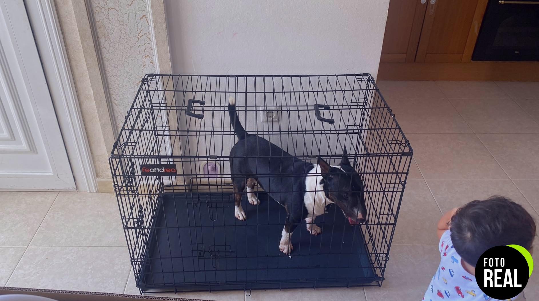jaula-perros-feandrea-xxl-negra-ppd48h-foto-2