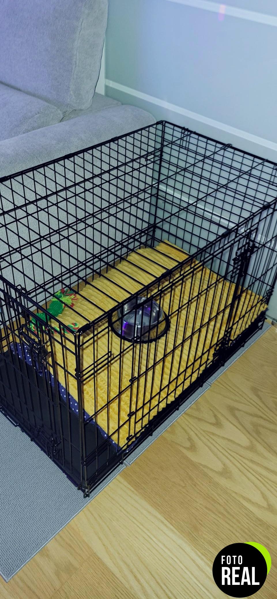 jaula-perros-midwest-59cm-icrate-foto-3