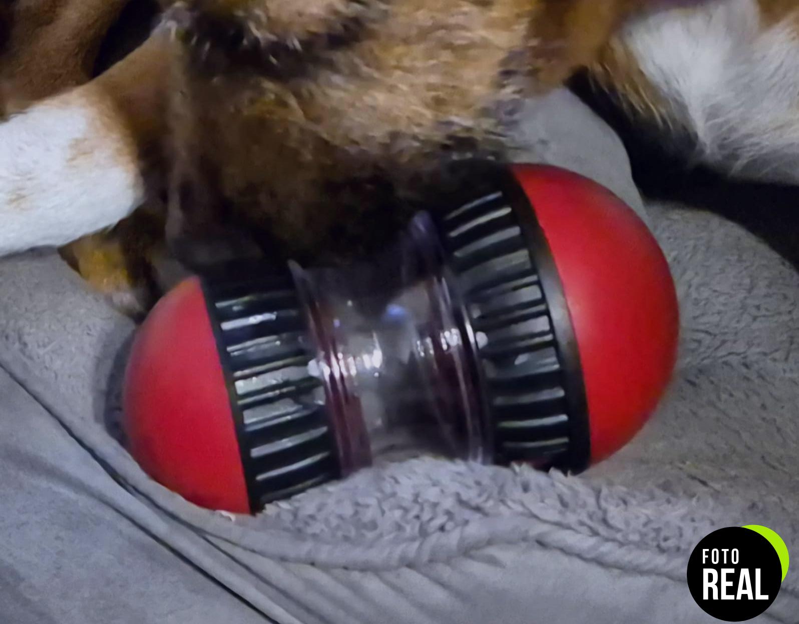 juguete-interactivo-perro-alimentador-indestructible-foto-2