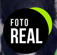 meloive-collar-adiestramiento-perro-3000m-foto-1