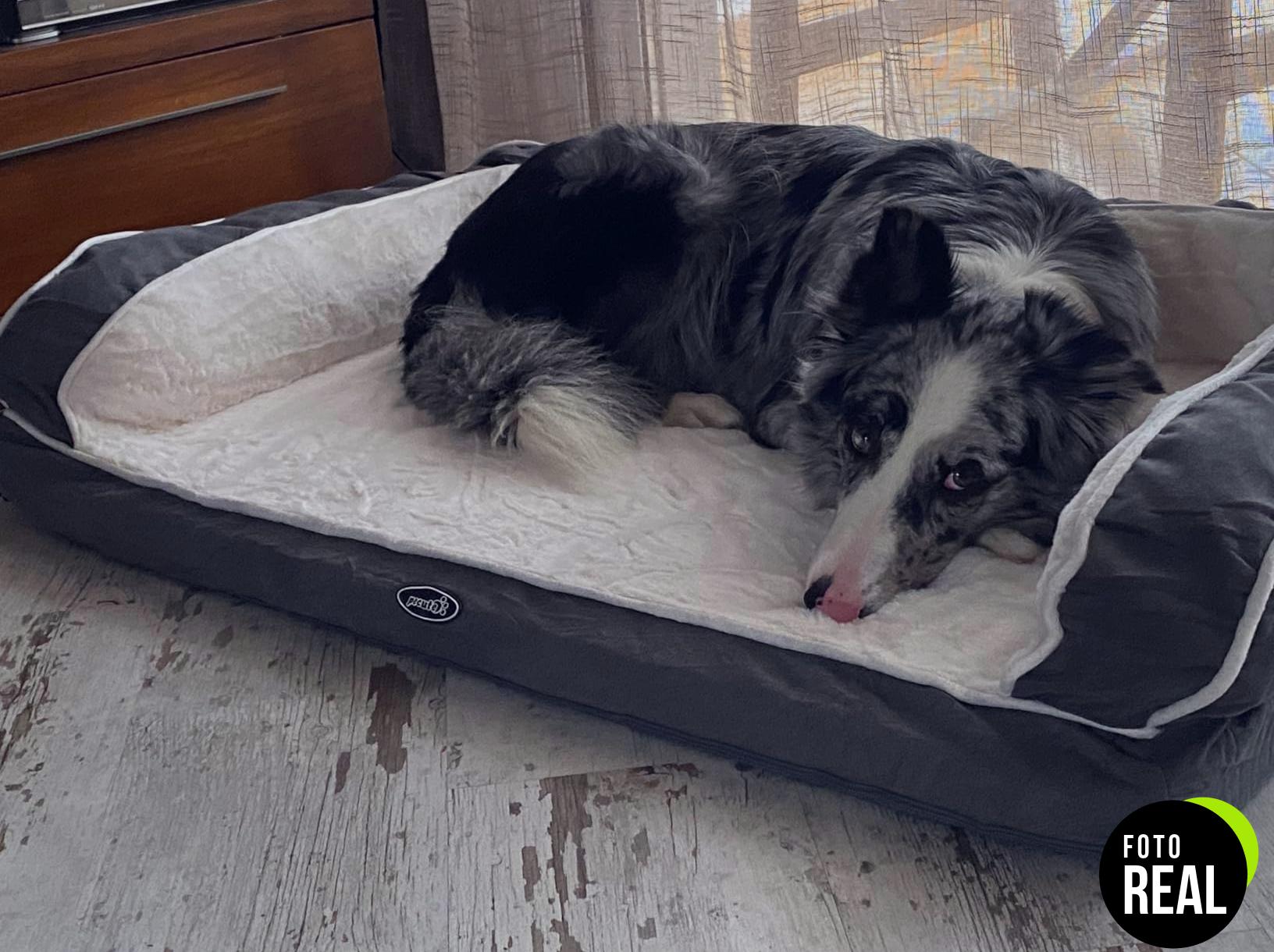 nobleza-cama-perro-suave-67x57cm-foto-2