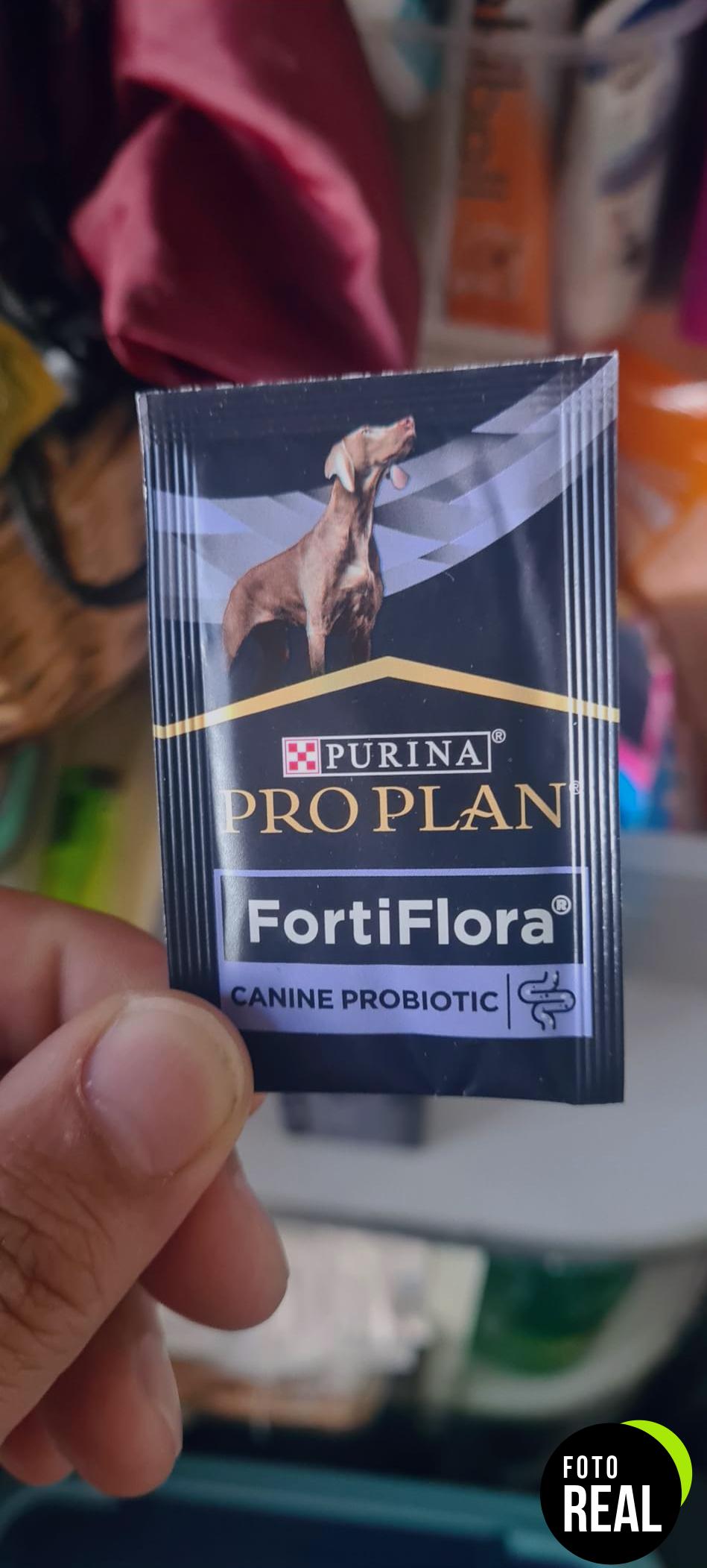 purina-fortiflora-perro-equilibrio-intestinale-foto-3