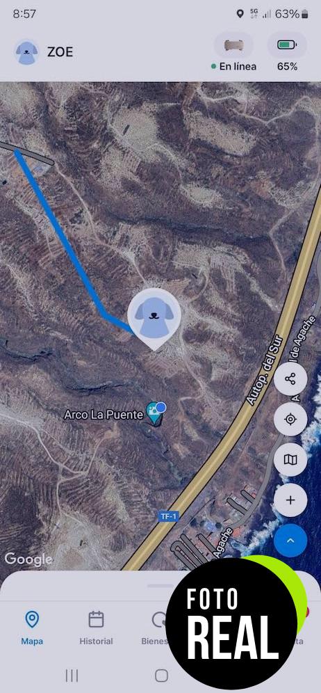 tractive-gps-perros-2025-seguimiento-negro-foto-1