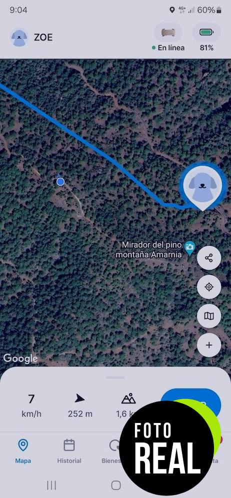 tractive-gps-perros-2025-seguimiento-negro-foto-2