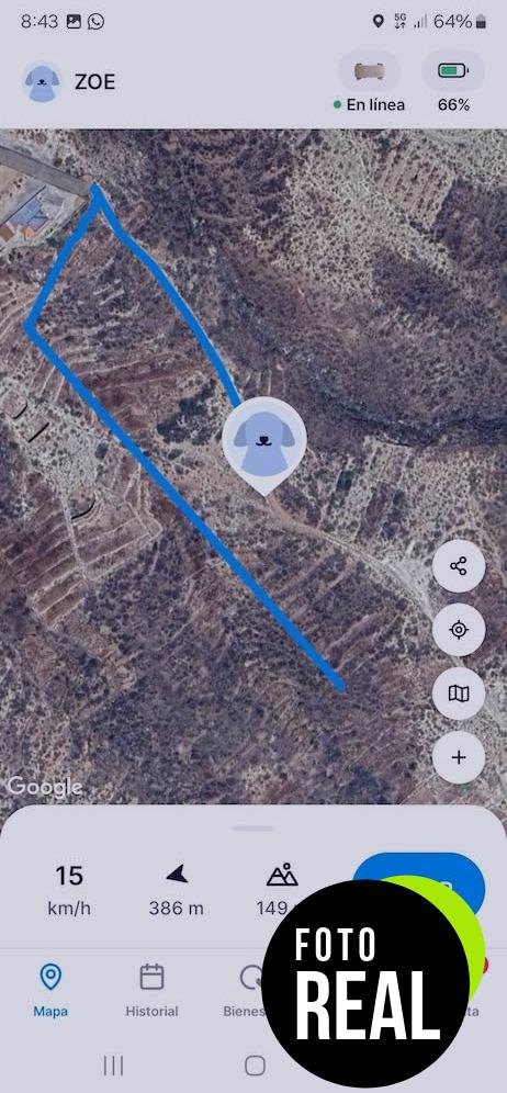 tractive-gps-perros-2025-seguimiento-negro-foto-3