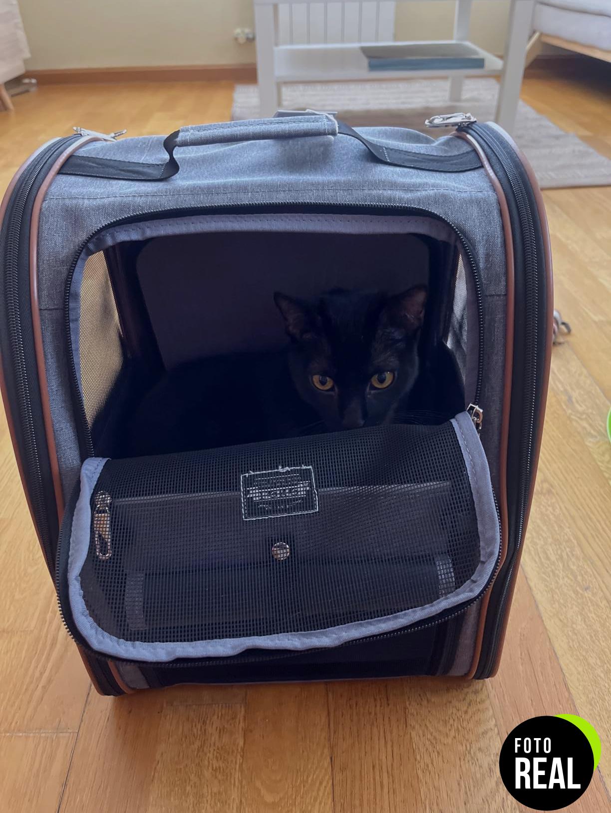 transportin-gato-mochila-gris-4-entradas-foto-2