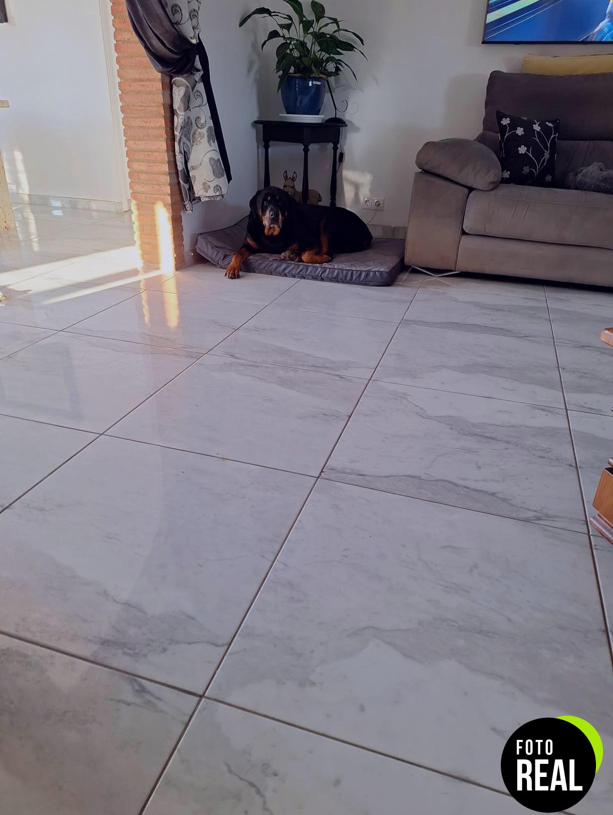 wavve-cama-perro-ortopedica-xxl-gris-foto-3